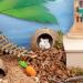 Coconut Hut Hamster House Bed - Small Animal Cage Decor - Buy Online on GoSupps.com
