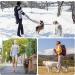Runway Double Dog Leash 3m - Adjustable Dual Clip for Small Medium & Large Dogs - Durable Brown Leash - Buy Online on GoSupps.com