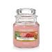Yankee Candle fragrance candle in the glass (small) |Sun-Drenched Apricot Rose |Fun duration for up to 30 hours small candle in the glass of SUN-Drenched Apricot Rose