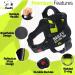 Pawpawify Personalized Dog Harness Anti-Pull Durable XL (32-44in) for Training & Walking Green Doodle - Buy Online on GoSupps.com