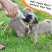 tonyg-p 12pcs Puppy ID Collars Whelping Collars Adjustable Puppy ID Bands Identification Puppy Collar for Dog Kitten Newborn Pet Multi Coloured (S 12-20CM) - Buy Online on GoSupps.com