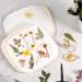 Aboofx Microwave Flower Press 6.3x6.3 inch - Fast Flower Pressing Kit for Adults - DIY Arts and Crafts - Ideal Gifts - Buy Online on GoSupps.com