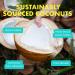 Kopari Coconut Mini Melt - Organic All-Over Skin, Under Eye & Hair Moisturizer - 2.5 Oz - Non GMO, Vegan, Cruelty Free - Buy Online on GoSupps.com