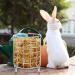 PATKAW Metal Rabbit Grass Feeder Free Standing Bunny Grass Feeder Rack Small Animals Feeding Holder Rabbit Cage Grass Dispenser Bunny Food Manger Rack - Buy Online on GoSupps.com