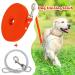 Waterproof Dog Drag Line - Chew Proof Tie-Out 15m | Durable Training Leash for All Dog Sizes - Buy Online on GoSupps.com