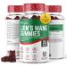 Lion's Mane Gummies - 2000mg Lions Mane Gummies for Adults - Mixed Berry Flavour Supplement - 60 Day Gummies (2 Month s Supply)