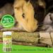 Timothy Hay Sticks | 25 Natural Treats for Rabbits Guinea Pigs Hamsters & Chinchillas - Healthy Chew Toys - Buy Online on GoSupps.com