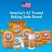 Arm & Hammer 1155 Fridge-N-Freezer Baking Soda 14 oz - Multi-Use Odor Eliminator - Buy Online on GoSupps.com