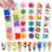 Warmfits Dried Flowers for Nails 120pcs/set 3D Real Encapsulated Nail Pressed Flowers for Nail Art & Resin Craft DIY - Gypsophila  Five Petals Flowers  Leaves  Hydrangea Macrophylla (Pattern A)