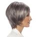 Lofty Wig Sabine - Premium Synthetic Hair Wig in Slate with Light Streaks | Realistic Look - Buy Online on GoSupps.com