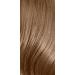 Revlon Colorstay Longwear Permanent Cream Colour Medium Blonde 8.0 Medium Blonde 165 ml (Pack of 1) - Buy Online on GoSupps.com