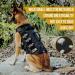 OneTigris AIRE Mesh Tactical Dog Harness | Breathable No Pull Design with Handle & Molle Pouches | Adjustable Service Dog Vest for Walking, Hiking, Training | Black, Size Medium - Buy Online on GoSupps.com