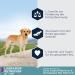 Eukanuba Breed Specific Labrador Retriever Dry Food - Premium Chicken Formula 12 kg | Optimal Nutrition for Healthy Labs - Buy Online on GoSupps.com