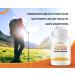 Organic Turmeric & Ginger Capsules with BioPerine - Joint & Digestive Support with 95% Curcuminoids - Immune Boost - Black Pepper Extract - Buy Online on GoSupps.com
