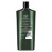 TRESemm Botanique Color Vibrance & Shine Shampoo 22 oz | International Shipping Available - Buy Online on GoSupps.com