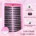 Cat Eye Lash Clusters - Wispy Individual Lashes for Fluffy Natural Look | Manga Lash Extensions by Winifred (14mm - Buy Online on GoSupps.com