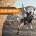 Nice C 10mm Climbing Rope - Dynamic Escape Rope for Trees, Rocks, Rescue - Orange (32ft) - Buy Online on GoSupps.com