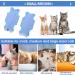 Molain Cat Professional Recovery Suit for Abdominal Wounds or Skin Diseases After Surgery E-Collar Alternative for Cats Anti Licking Pajama Suit Kittens Surgery Recovery Suit (Blue M Size) - Buy Online on GoSupps.com