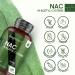 NAC Supplement - 180 Vegan Capsules (6 Months Supply) | N Acetyl Cysteine 600mg | Glutathione Support | Highly Bioavailable & Stable Form | Amino Acid Supplement - Buy Online on GoSupps.com