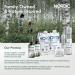 Nordic Organic Birch Sap Face Cream Peptides CoQ10 Arginine and sea buckthorn fragrance-free made in Finland - COSMOS Organic Certified sensitive-skin formula 50 ml (1.69 oz) - Buy Online on GoSupps.com
