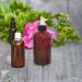 Rotip Clipper Bottle 237ml - Amber BPA-Free Refillable Plastic Bottles with Nozzle - Multi-Purpose (2-Pack) - Buy Online on GoSupps.com