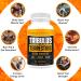 1500mg Tribulus Terrestris Extract for Men & Women - Energy & Strength Booster - 2 Pack - Vegan & Gluten Free - Buy Online on GoSupps.com