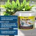 Tetramine Flakes for Ornamental Fish - 10L Bucket Healthy Balanced Feed for Clear Water - 2.1kg - Buy Online on GoSupps.com
