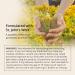 Joy-Filled Mood Support Supplement with St Johns Wort | Stress Relief Energy Supplements | 100% Plant-Based Herbal Adaptogens | 180 ct - Buy Online on GoSupps.com