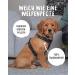 Rudel King Dog Harness Paola - Reflective Adjustable Harness for Small & Medium Dogs - M Black with Handle - Buy Online on GoSupps.com