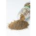 McCormick Gourmet Organic Celery Seed 1.62 oz - Premium Quality Spice - Buy Online on GoSupps.com