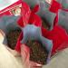 Buy Manaresi Coffee Super Bar & Rosso Beans Bundle - 2 kg Premium Brown Coffee - International Shipping Available - Buy Online on GoSupps.com