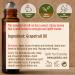 Gya Labs Grapefruit Essential Oil Roll-On 10ml - Sweet Citrus Scent | Pack of 1 - Buy Online on GoSupps.com