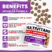 Dog Multivitamin Chewable with Glucosamine - 23 in 1 - Dog Vitamins and Supplements - 170 Chews - Senior & Puppy Multivitamin for Dogs - Hip & Joint Support - Immune Health Skin Digestion Chicken 170 Soft Chews - Buy Online on GoSupps.com
