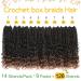 Fulcrum Goddess 12 Bohemian Crochet Box Braids - 9 Packs Pre-Looped Box Braids for Black Women - Curly Ends - T30 - Buy Online on GoSupps.com