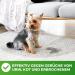 Odor Remover Enzyme Cleaner 1000ml | Eliminate Bad Smells Like Cat Urine | Ideal for Cages Kennels and Toilets - Buy Online on GoSupps.com