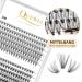 Individual Cluster Eyelashes QUEWEL - 240 Pieces 0.07C Curl DIY Eyelash Extensions Natural Look Mix 8-14mm (20D+30D) - Buy Online on GoSupps.com