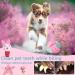 Vipnaji Puppy Toys - 15PCS Long-Lived Plush & Rope Toys for Small & Medium Dogs | Non-Toxic & Safe Cotton Wool | Perfect for Puppies - Buy Online on GoSupps.com