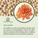 Lecithin Softgel Capsules 1200mg x 180 - Omega 6 GLA - New Mum Essential - Women's Health Supplement - UKHealthHouse - Buy Online on GoSupps.com