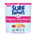 Surf Sweets Organic Jelly Beans, 6 oz 6 Ounce (Pack of 1)