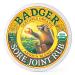 Badger Company Sore Joint Rub Arnica Blend 2 oz (56 g)