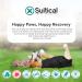 Buy Suitical Recovery Suit for Dogs - M+ Size in Black | Ideal Post-Surgery Pet Wear - International Shipping Available - Buy Online on GoSupps.com