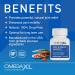 OmegaXL Powerful Joint and Muscle Support Supplement 60 Count (2 Pack) & Probiotic XL - PreforPro, DE111, Shelf Stable - Promote Healthy Gut Flora Growth (30 Veggie caps) 2 OmegaXL 60 Count + 1 ProbioticXL - Buy Online on GoSupps.com