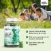 Wild Organic Ginkgo Biloba Gummies - Brain & Mental Support Supplement for Mood, Focus, Energy & Blood Circulation - Vegan Non-GMO - 60 Chews - Buy Online on GoSupps.com