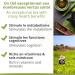 Tea Sencha (Infu x20) - Buy Online on GoSupps.com