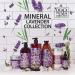 Dead Sea Collection Lavender Bath Salts - Large 34.2 OZ - Nourishing Body Care for Skin and Muscle Relaxation - Buy Online on GoSupps.com