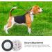 2022 Airtag Cat Necklace Holder - Waterproof 2-Pack for Apple Airtag | Small Cat Neck Band Protector in Black & Translucent - Buy Online on GoSupps.com
