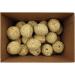 Aime Eco Box Fat Balls x 30 - Buy Online on GoSupps.com