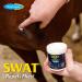 Farnam SWAT Fly Repellent Ointment 7oz - For Horses, Ponies & Dogs - Buy Online on GoSupps.com