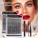 30D & 40D False Eyelash Set | 240 Cluster Eyelash Curler with Glue & Tweezers for Natural Volume - Shop Internationally - Buy Online on GoSupps.com