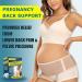 Maternity Belt Pregnancy Belly Band Plus Size Nude - Back Support & Pain Relief - Buy Online on GoSupps.com